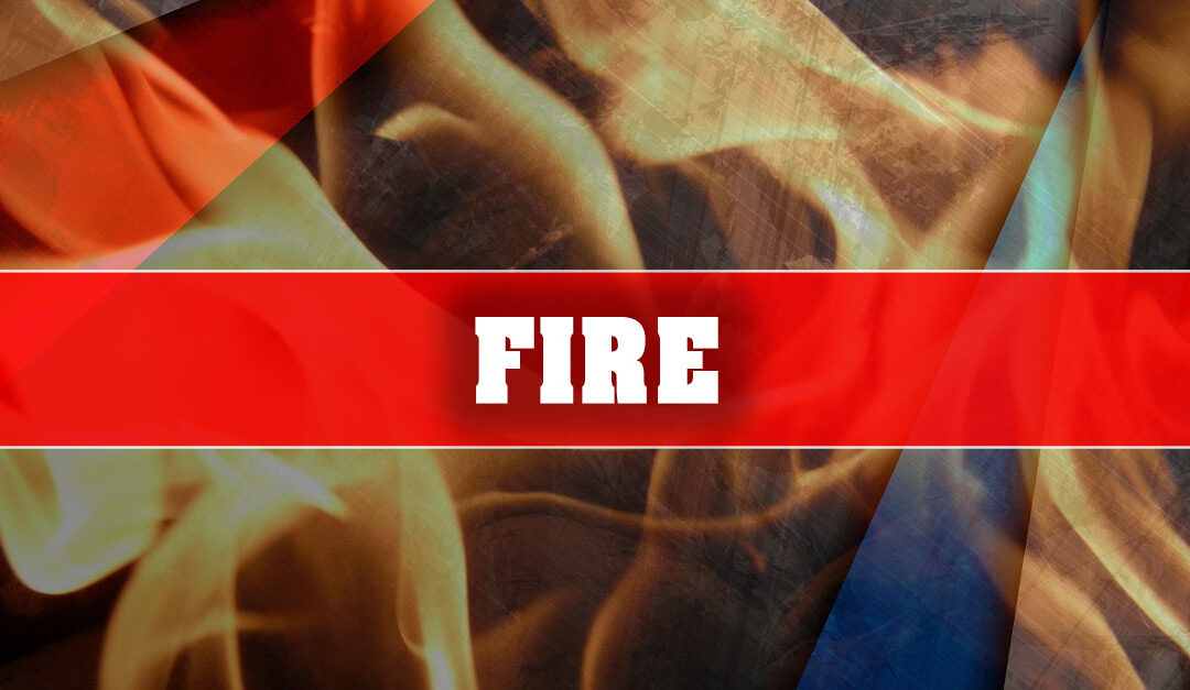 Firefighters battled 21 blazes during wind event